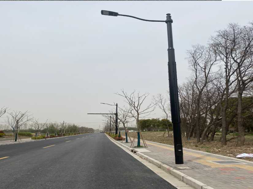 清丰县上海综合杆 太阳能路灯工程